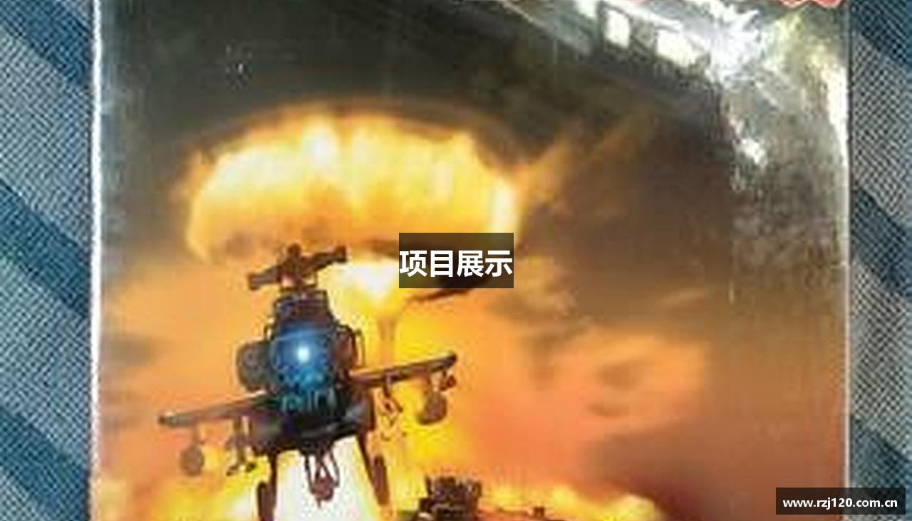 项目展示